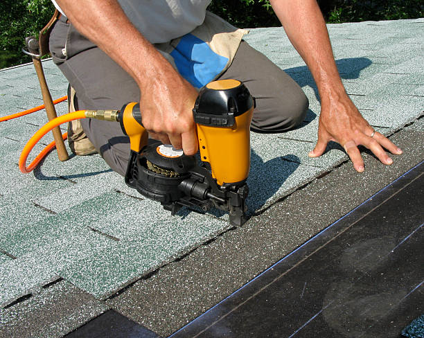 Best Roof Gutter Cleaning  in Riverview, SC